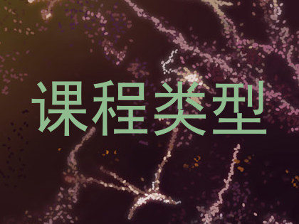 课程类型