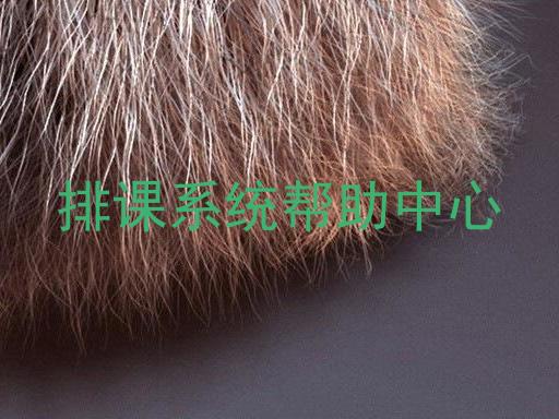 排课系统帮助中心