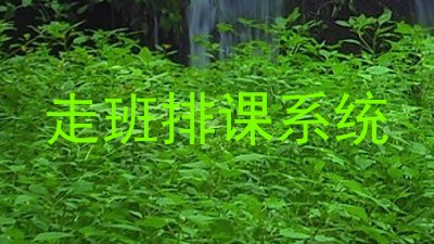 走班排课系统