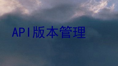 API版本管理
