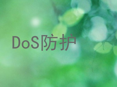 DoS防护