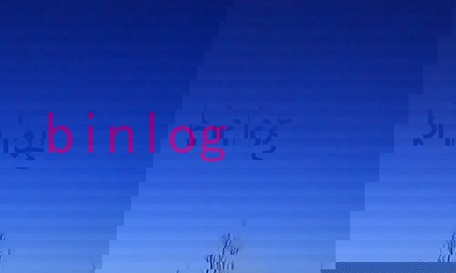binlog