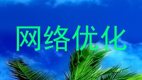 网络优化