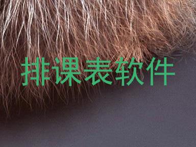 排课表软件