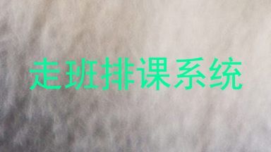 走班排课系统