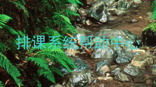 排课系统帮助中心