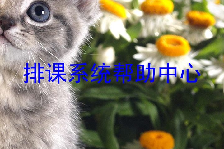 排课系统帮助中心
