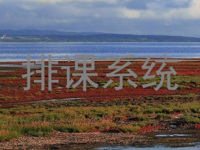 排课系统