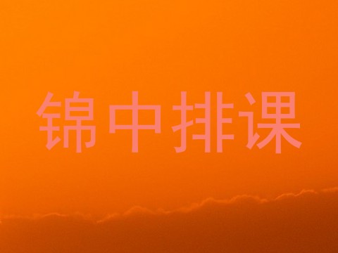 锦中排课