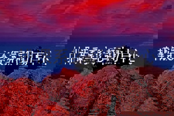 排课系统帮助中心