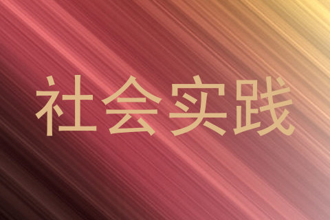 社会实践