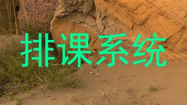 排课系统