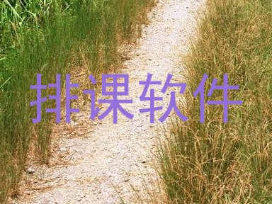 排课软件