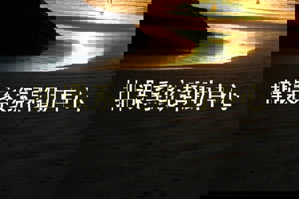 排课系统帮助中心