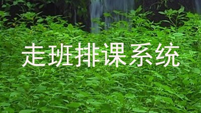 走班排课系统
