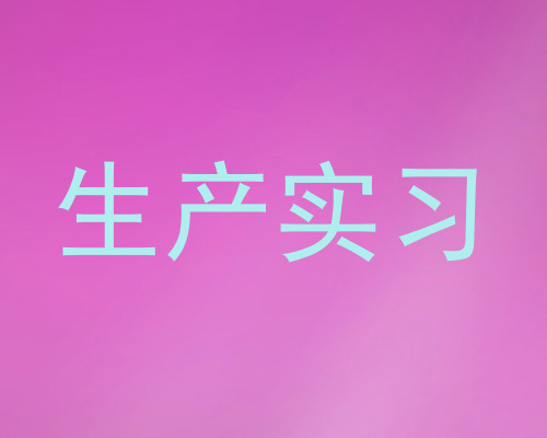 生产实习