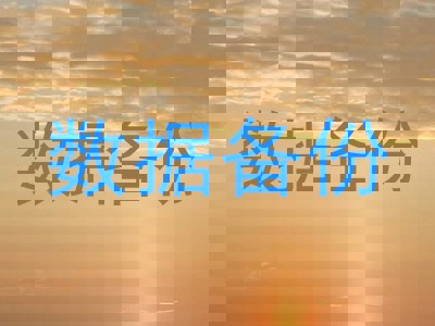 数据备份