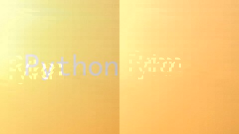 Python