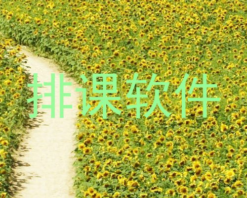 排课软件