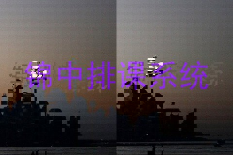 锦中排课系统