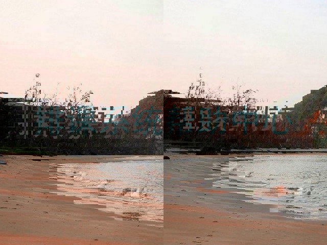 排课系统帮助中心