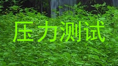 压力测试