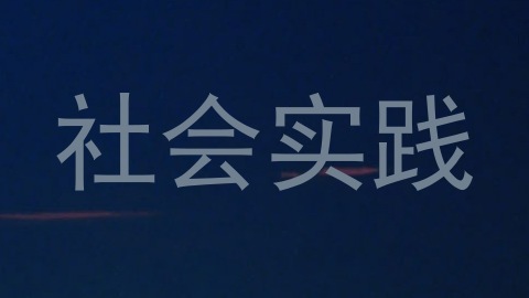 社会实践