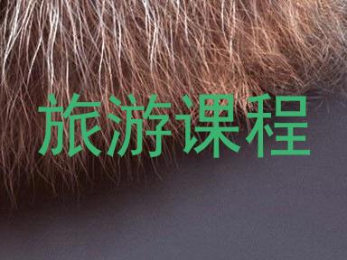 旅游课程