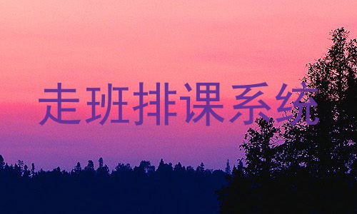 走班排课系统