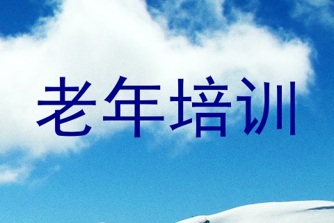 老年培训