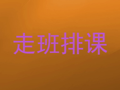 走班排课