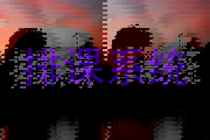 排课系统