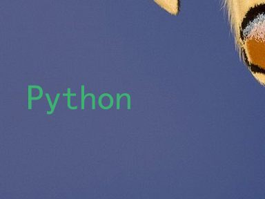Python