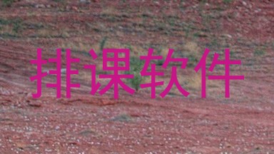 排课软件