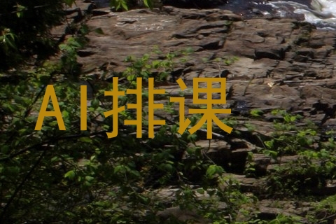 AI排课