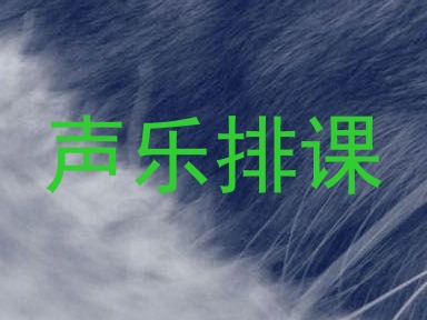 声乐排课