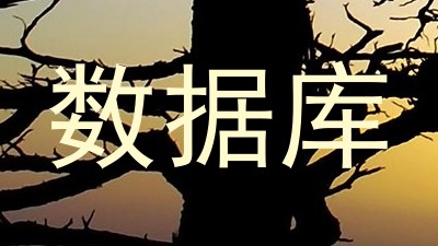 数据库