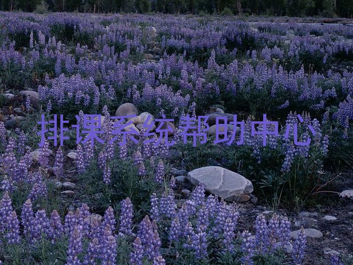 排课系统帮助中心