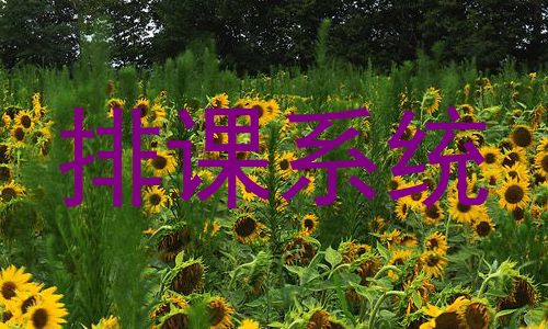 排课系统