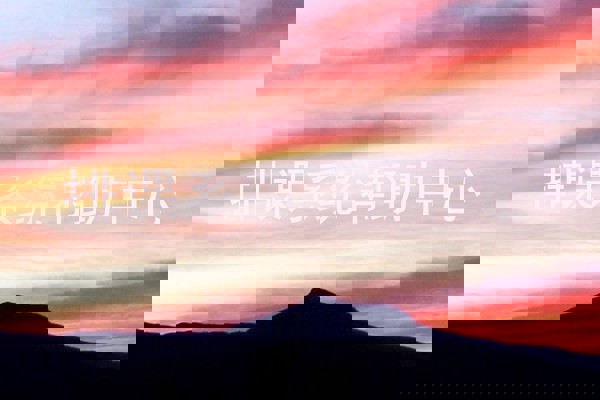 排课系统帮助中心