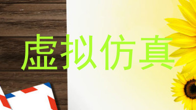 虚拟仿真
