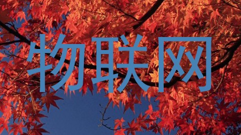 物联网