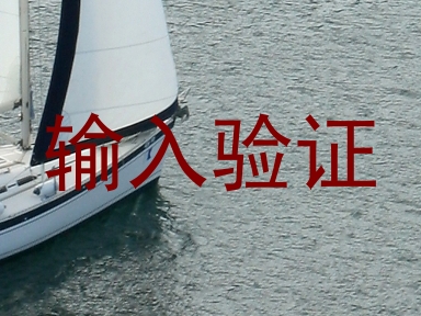 输入验证