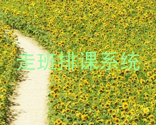 走班排课系统
