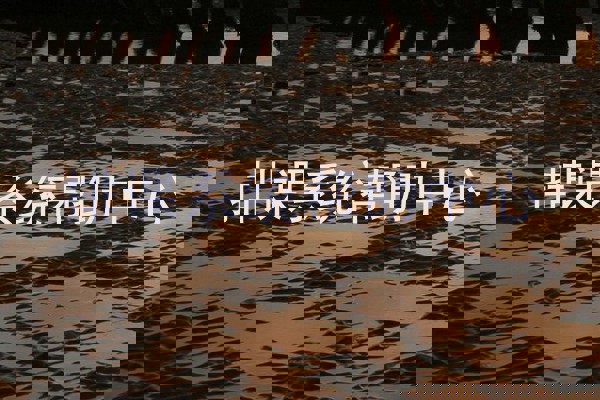 排课系统帮助中心