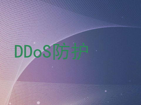 DDoS防护