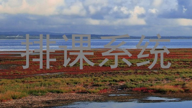 排课系统
