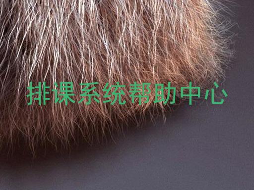 排课系统帮助中心