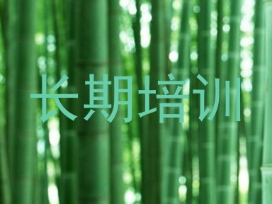 长期培训