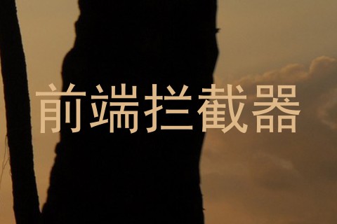 前端拦截器